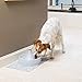 PetSafe Drinkwell 360 Pet Water Fountain, Filtered Water for Dogs and Cats, BPA-Free Plastic, 128 oz. Water Capacitythumb 2
