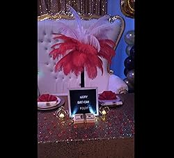 Sowder 10pcs Ostrich Feathers