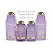 OGX Hydrate & Color Reviving + Lavender Luminescent Platinum Conditioner, 13 Ounce