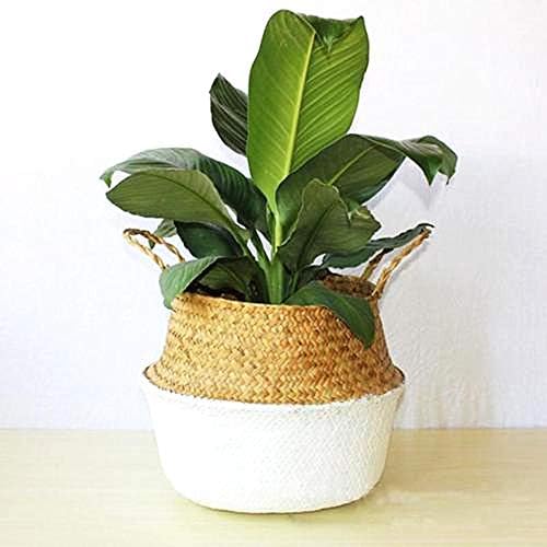 SevenMye White Folding Natural Seagrass Wicker Basket Flower Pot, Woven Belly BasketPlant Basket for Storage, Laundry, Picnic,6.3x5.9inch(DxH)