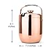 T-rainbow Insulated Double Walled Stainless Steel Ice Bucket for Parties, BBQ & Buffet with Tongs & Sealed Lid (3L) - Chiller Bin Basket for Wine and Beer, Firmly attached Handle, Strong Screw holder