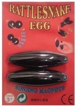 snake egg magnets