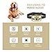 Dog No Bark Collar with Smart Detection Vibration and Harmless Shock- Rechargeable Anti Barking Device for Small Medium and Large Dog (Gold)thumb 2
