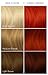 ARCTIC FOX Vegan and Cruelty-Free Semi-Permanent Hair Color Dye (4 Fl Oz, SUNSET ORANGE)