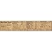 CLIF BAR - Energy Bar - Coconut Chocolate Chip - (2.4 Ounce Protein Bar, 12 Count)
