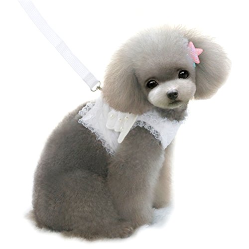 M2cbridge White Dog Puppy Harness Leash Collar Cat Vest Strap With Angel Wings (M)