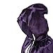 Colorful House Unisex Full Length Hooded Cape Costume Cloak/1PC (Purple, 59