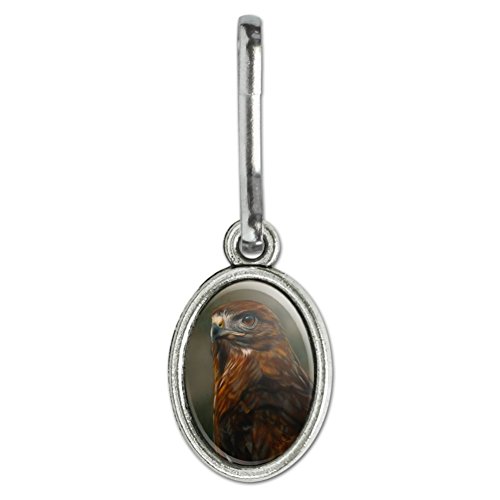 Graphics and More Red-Tailed Hawk Raptor Portrait Antiqued Oval Charm Clothes Purse Suitcase Backpack Zipper Pull Aid