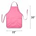 Apron Commercial Restaurant Home Bib Spun Poly Cotton Kitchen Aprons (2 Pockets) (1, Pink)