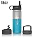 the flow Stainless Steel Water Bottle Double Walled/Vacuum Insulated - BPA/Toxin Free – Wide Mouth with Straw Lid, Carabiner Lid and Flip Lid, 32 oz.(1 Liter) (S/pacific blue, 18oz)