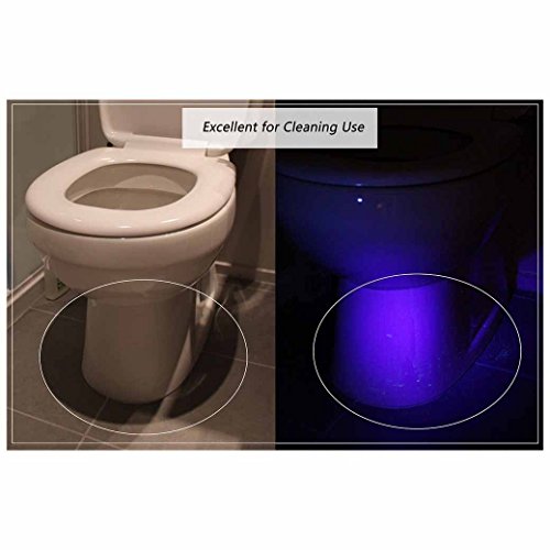 Morpilot Schwarzlicht, 2 Stück UV Handheld Schwarzlicht Taschenlampen 12 LED 395nm Mini Light Fackeldetektor für Haustiere Urin und Flecken