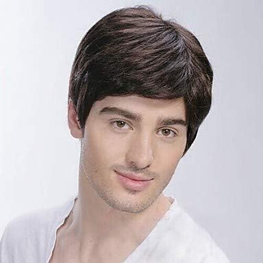 Kaneles Mens Brown Wig Male Guy Short Layered Cosplay Costume Party Natural Hair 12"