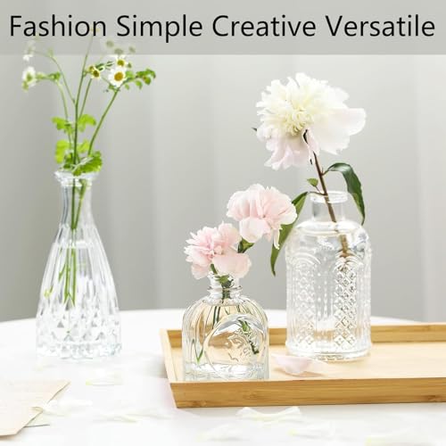 Glass Flower Vase, 12 Pack Small Flowers Vases Set, Mini Bud Plant Pots for Table Decoration & Centerpieces & Wedding, Vintage Bottle for Outdoor and Home Decor, صغيرة زجاج فازات, (Clear)