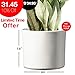 Modern Ceramic White Round Medium Flower Pot 8.5 inch |Liverpool Model for Indoor Large Planter | Fits in 10 and 11 inch Mid Century Plant Stands | Cylinder Ceramic Round Plant Potsthumb 1