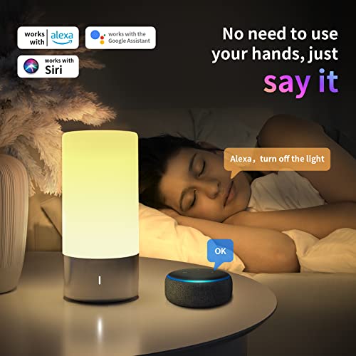Smart Touch Table Lamps Compatible with Alexa and Google Assistant