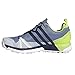 adidas Men's Terrex Agravic GTX