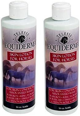 Equiderma Horse Skin Lotion for Rain Rot, Ringworm, Cannon Bone Scurf and More.