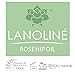 Lanoline Rosehip Oil, Lavender, and Evening Primrose Oil Night Recovery Creme