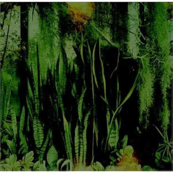 PROMISE RING - Very Emergency - Amazon.com Music