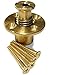 5 Pack Wood Deck Brass Anchor with Collar for Pool Safety Cover. Universal Replacement for In-ground Swimming Pool Safety Covers and Mesh Covers