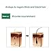 7 Days Hair Growth Care Ginger Essential Oil Nourishing for Dry Damaged Hairs bjlongyi