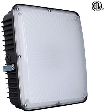 Elecall 60W LED Canopy Light, (up to 250W HPS/HID Replacement), 5000K(Daylight white), 6900 Lumens, 10.4" x 10.4", Waterproof and Outdoor Rated, ETL-Listed