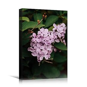 signwin Canvas Wall Art Pink Petal Close Up...