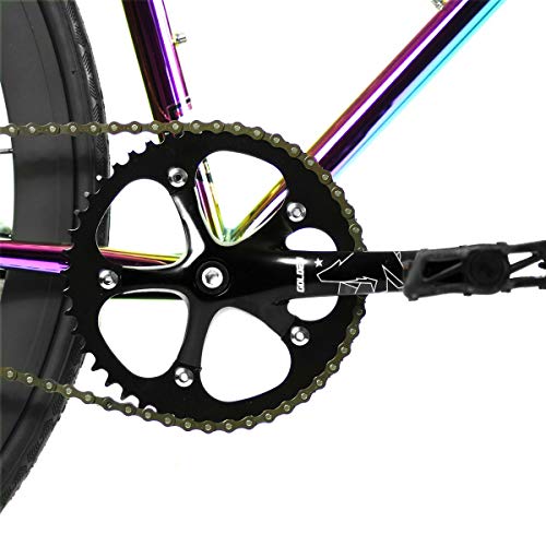 Golden Cycles Single Speed Fixed Gear Bike with Front & Rear Brakes (Oil Slick, 55)