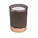 Paddywax Gilt Collection Scented Soy Wax Candle, 8-Ounce, Ember & Resin