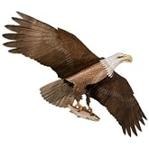 Bald Eagle Kite &amp; Green Fiberglass Telescoping Pole Kit