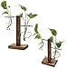 Water Planting Glass Vase,Clear Glass Vase Hanging Plant Terrarium with Retro Solid Wooden Stand for Hydroponics Plants Home Garden