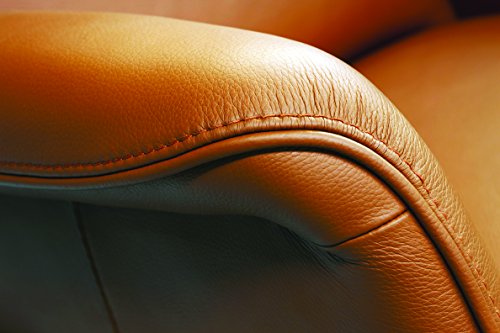 Turtle Wax T-363A Leather Cleaner & Conditioner - 16 oz.