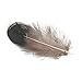 SBYURE 300pcs 6 Kinds of Feather Assorted for Various Crafts, Birthday Parties, Wedding and Dream Catcher Crafts