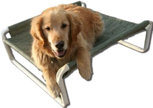 Rover Company Elevated Dog Bed, Autumn Fern