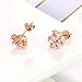 Cat Paw Earrings Sterling Silver Cat Earrings Pink Crystal Paw Stud Earrings for Women (Rose)