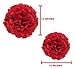 Valentine Red Tissue Paper Flower Pom Pom Balls.12 and 14 Inch Holiday Party Favor Flower Balls Hanging Decor Party Decoration. 8 Pack. Great DIY Kit For Parties,Birthdays,Weddings,Bridal Showers Etc.