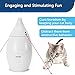 PetSafe Zoom Rotating Laser Cat Toy - Encourages Multi-Cat Play - Dual Red Laser Beams - Motion Toy - Whisper Quiet Operation - Battery Operated