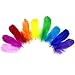 Coceca 500pcs 3-5 Inches Colorful Feathers for Crafts DIY Wedding Home Party Decorations
