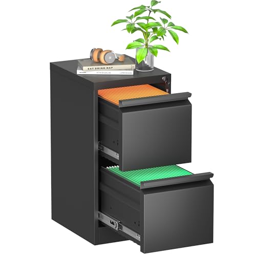 2 Drawer File Cabinet