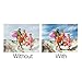 Polaroid Optics 43mm Multi-Coated Circular Polarizer Filter [CPL] For ‘On Location’ Color Saturation, Contrast & Reflection Control– Compatible w/ All Popular Camera Lens Models