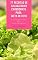 Livro 77 Receitas De Salada Baixo Carboidrato Para Dieta De Ceto : Receitas De Saladas Para Dieta Cetogênica - Saladas De Peixe E Frutos Do Mar - Saladas Para Vegetariano