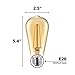 Philips LED Amber Glass ST19 Dimmable Vintage Filament Light Bulb: 350-Lumen, 2000 Kelvin, 4.5-Watt (60-Watt Equivalent) E26 Base, Amber, 1-Pack