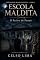 Livro A Escola Maldita: O retiro de Punaú (CRÔNICAS DO MUNDO INVISÍVEL Livro 1)