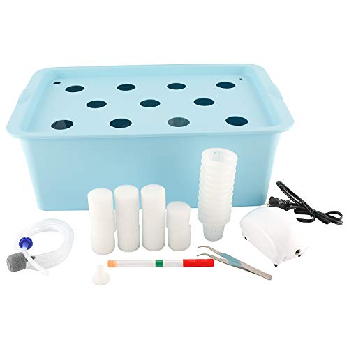 Homend Indoor Hydroponic Grow Kit with Bubble Stone, 11 Plant Sites
