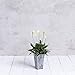 ArtStone 35130 Ella Tall Planter Grey 13.5-inch