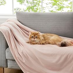 UGG 23852 Bliss Sherpa Fully Reversible Throw