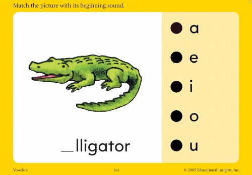 Educational Insights Hot Dots Flash Cards- Vowels