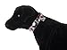 Pet Champion Classic No Pull, STRATEGY Teal Camo, Large (PTDCSTLG8)