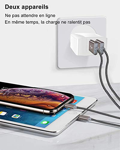 IceFrog Cargador Movil con Cable USB Tipo c [2Pack 2M], Cargador de Movil con 2 Puertos para Samsung S10/S9/S9 Plus/S8+/S8,Note 9/8,Huawei P30/P20/P10/P9/P9+,Xiaomi Mi A2/A1/8/9,Note 7/8/9/10 y más