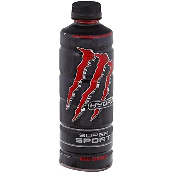 dog vomiting yellow bile after boarding